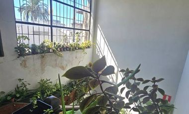 Venta Local comercial en Concepción AV. BERNARDO O