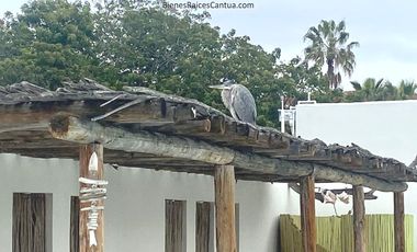 Renta Casa Tipo Palapa en Costa Carel RV Park – ¡Vive Junto al Mar!