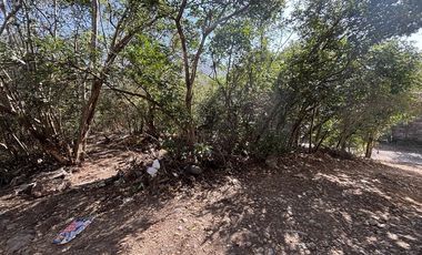 TERRENO EN RENTA EN LOS RODRIGUEZ SANTIAGO
