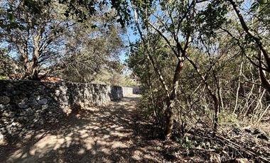 TERRENO EN RENTA EN LOS RODRIGUEZ SANTIAGO