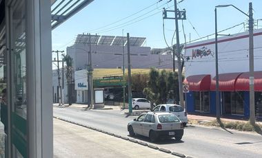 Local comercial Renta Calz. Independencia