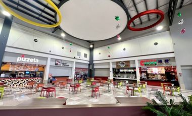 Locales en Renta Zona Oriente Plaza Pabellon
