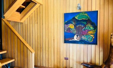 Linda casa en venta,  Punta Larga, Frutillar