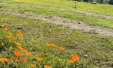 Linda casa en venta,  Punta Larga, Frutillar