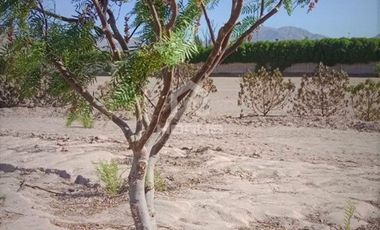 Parcela en Venta en Condominio el bramador