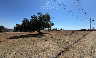 TERRENO EN VENTA EN FRACCIONAMIENTO BRISAS DE CHAPALA, CHAPALA, JALISCO