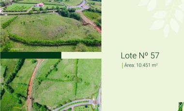 VENTA HERMOSOS LOTES DE 1 HECTAREA EN CERRITOS PEREIRA