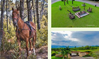 VENTA HERMOSOS LOTES DE 1 HECTAREA EN CERRITOS PEREIRA