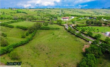 VENTA HERMOSOS LOTES DE 1 HECTAREA EN CERRITOS PEREIRA
