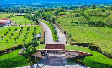 VENTA LOTES DE 1 HECTAREA EN CERRITOS PEREIRA