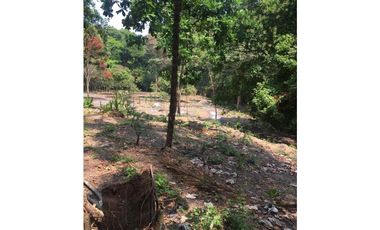 SE VENDE LOTE EN SANTA MARTHA MAGDALENA VIA A MINCA