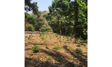 SE VENDE LOTE EN SANTA MARTHA MAGDALENA VIA A MINCA