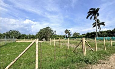 LOTE EN VENTA, ROZO, PALMIRA, VALLE DEL CAUCA
