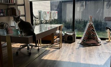 VENTA DE RESIDENCIA INTELIGENTE EN TECAMACHALCO