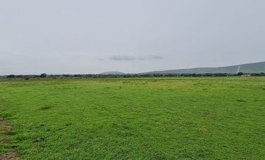 Aeródromo en Venta en Tequesquitengo, Morelos.