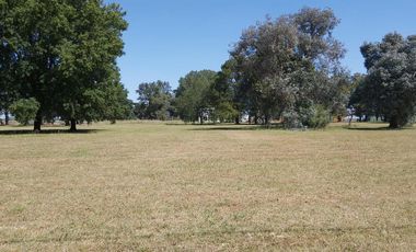 Venta terreno de 1169m2 en Lobos Country Club, con vista a espacio verde arbolado!