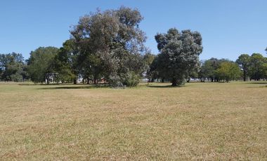 Venta terreno de 1169m2 en Lobos Country Club, con vista a espacio verde arbolado!