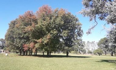 Venta terreno de 1169m2 en Lobos Country Club, con vista a espacio verde arbolado!
