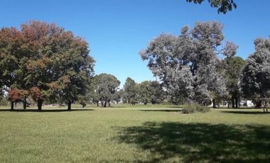 Venta terreno de 1169m2 en Lobos Country Club, con vista a espacio verde arbolado!