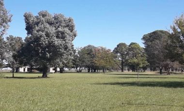 Venta terreno de 1169m2 en Lobos Country Club, con vista a espacio verde arbolado!