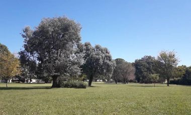 Venta terreno de 1169m2 en Lobos Country Club, con vista a espacio verde arbolado!