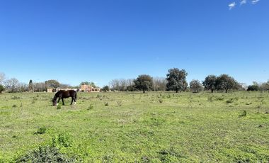 Venta terreno en Lobos, lotes de casi 1ha