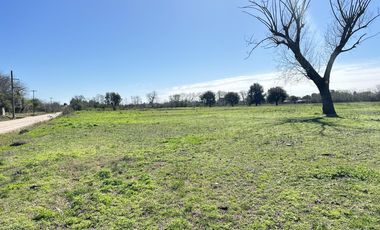 Venta terreno en Lobos, lotes de casi 1ha