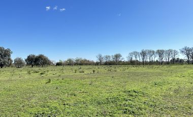 Venta terreno en Lobos, lotes de casi 1ha