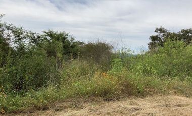 Terreno en Venta en Tapalpa 