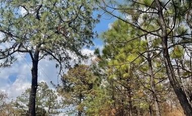 Terreno en Venta en Tapalpa 