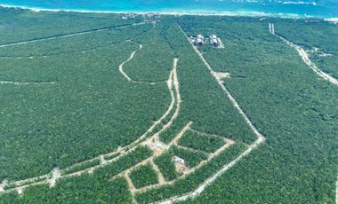 Presale Villa in Nido, Tulum 101!