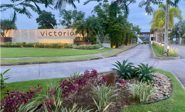 BRISAS DE GOLF / PH VICTORIA / 345M / 3 HABITACION + EMPLEADA 4 BAÑO