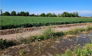 VENTA FINCA 20 HECTAREAS APTO PISTACHOS ALTOS DEL OLVIDO MENDOZA