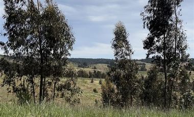 Parcela en Venta en Paredones, Bucalemu, Provincia de Bernardo O´Higgins