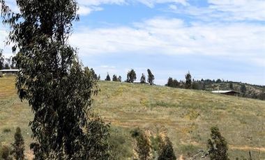 Parcela en Venta en Paredones, Bucalemu, Provincia de Bernardo O´Higgins