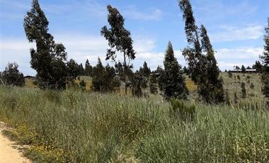 Parcela en Venta en Paredones, Bucalemu, Provincia de Bernardo O´Higgins