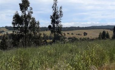 Parcela en Venta en Paredones, Bucalemu, Provincia de Bernardo O´Higgins