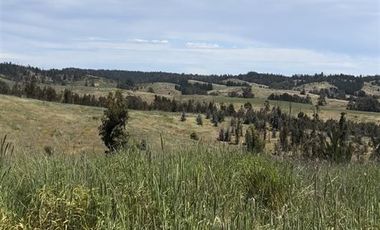 Parcela en Venta en Paredones, Bucalemu, Provincia de Bernardo O´Higgins