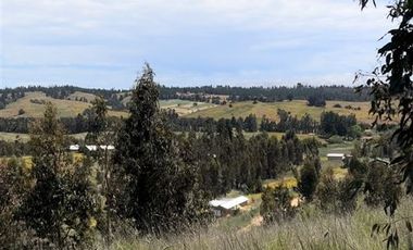Parcela en Venta en Paredones, Bucalemu, Provincia de Bernardo O´Higgins