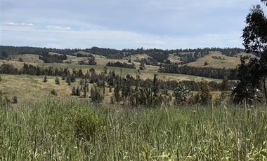 Parcela en Venta en Paredones, Bucalemu, Provincia de Bernardo O´Higgins