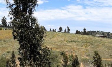 Parcela en Venta en Paredones, Bucalemu, Provincia de Bernardo O´Higgins