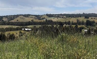 Parcela en Venta en Paredones, Bucalemu, Provincia de Bernardo O´Higgins