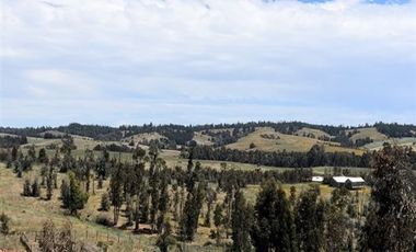 Parcela en Venta en Paredones, Bucalemu, Provincia Bernardo O´Higgins
