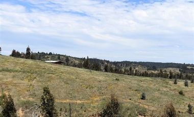 Parcela en Venta en Paredones, Bucalemu, Provincia Bernardo O´Higgins