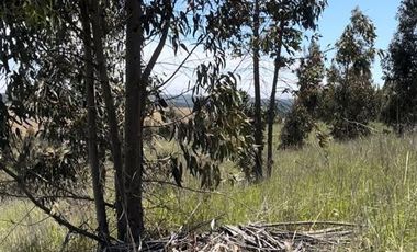 Parcela en Venta en Paredones, Bucalemu, Provincia Bernardo O´Higgins