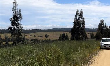 Parcela en Venta en Paredones, Bucalemu, Provincia Bernardo O´Higgins