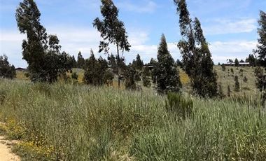 Parcela en Venta en Paredones, Bucalemu, Provincia Bernardo O´Higgins