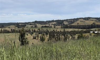 Parcela en Venta en Paredones, Bucalemu, Provincia Bernardo O´Higgins