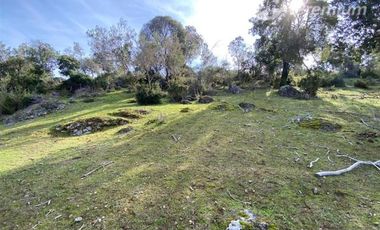 Parcela en Venta en Provincia de Colchagua, Comuna de Santa Cruz, Región Bernardo O'Higgins