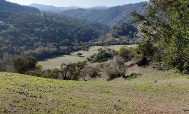 Parcela en Venta en Provincia de Colchagua, Comuna de Santa Cruz, Región Bernardo O'Higgins